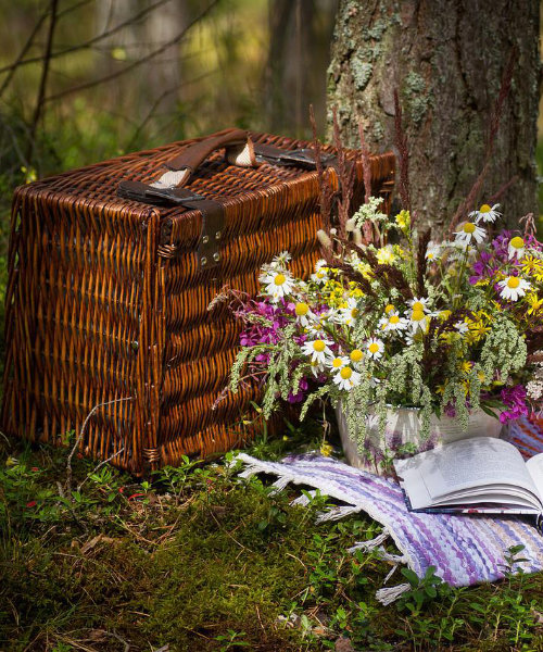 Maj za oknem - a więc zorganizujmy sobie piknik